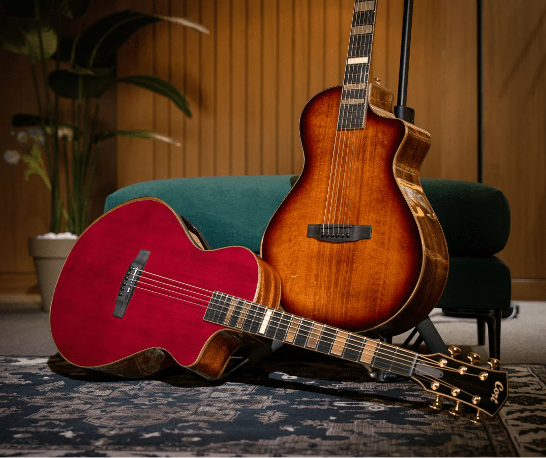 Guitars For Sale